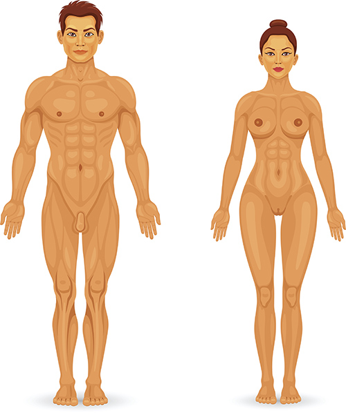 Wellness Libido